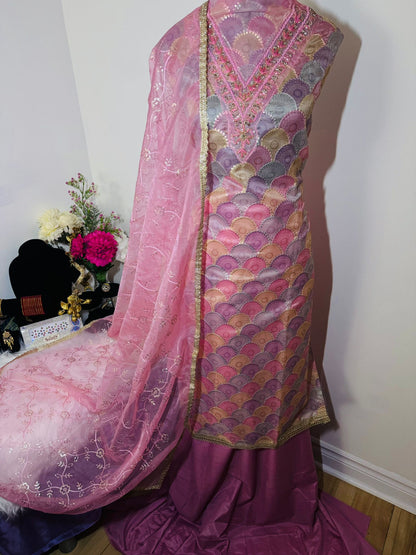 Half Organza Suit with Full Sequence Work