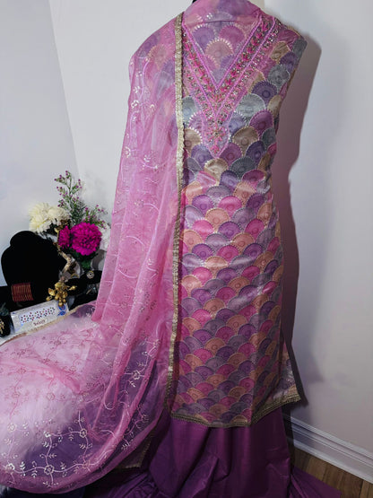 Half Organza Suit with Full Sequence Work