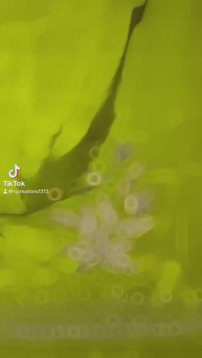 Glass Tissue Suit with Beautiful Tilla Work