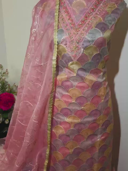 Half Organza Suit with Full Sequence Work